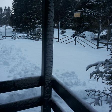 Holiday Home Stella Star Žabljak Kültér fotó