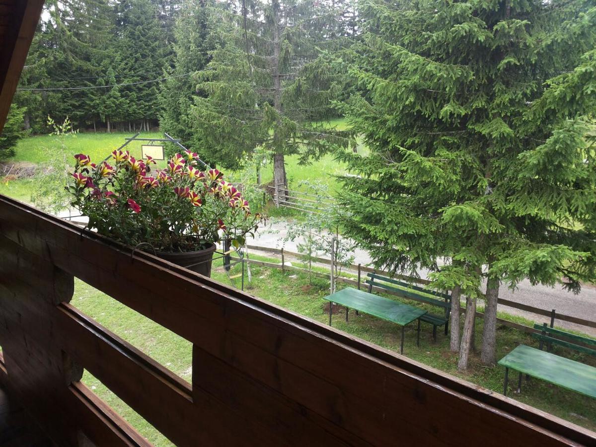 Holiday Home Stella Star Žabljak Kültér fotó