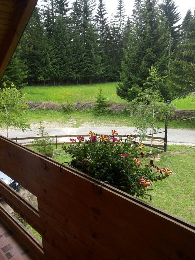 Holiday Home Stella Star Žabljak Kültér fotó