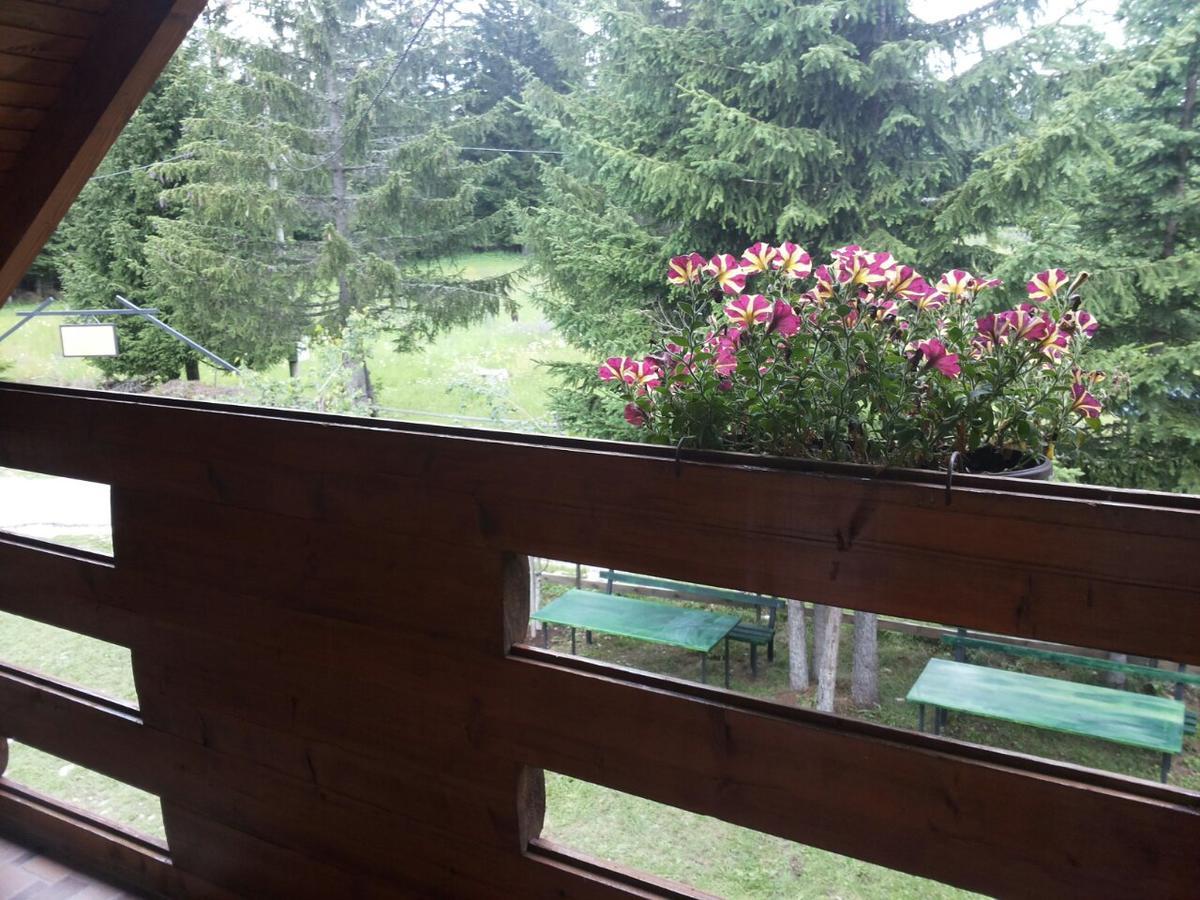 Holiday Home Stella Star Žabljak Kültér fotó