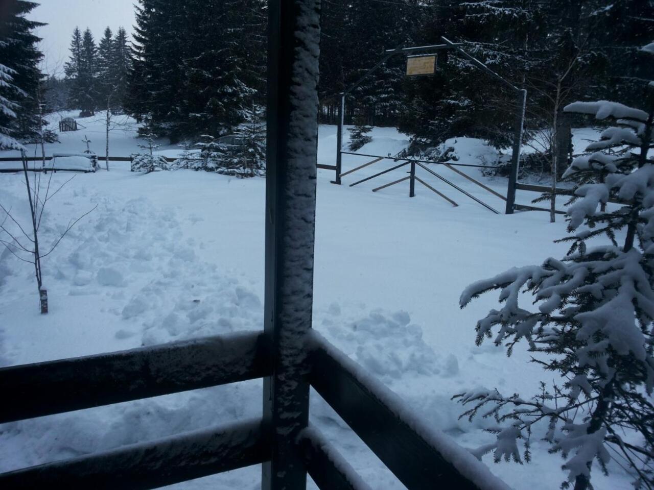Holiday Home Stella Star Žabljak Kültér fotó