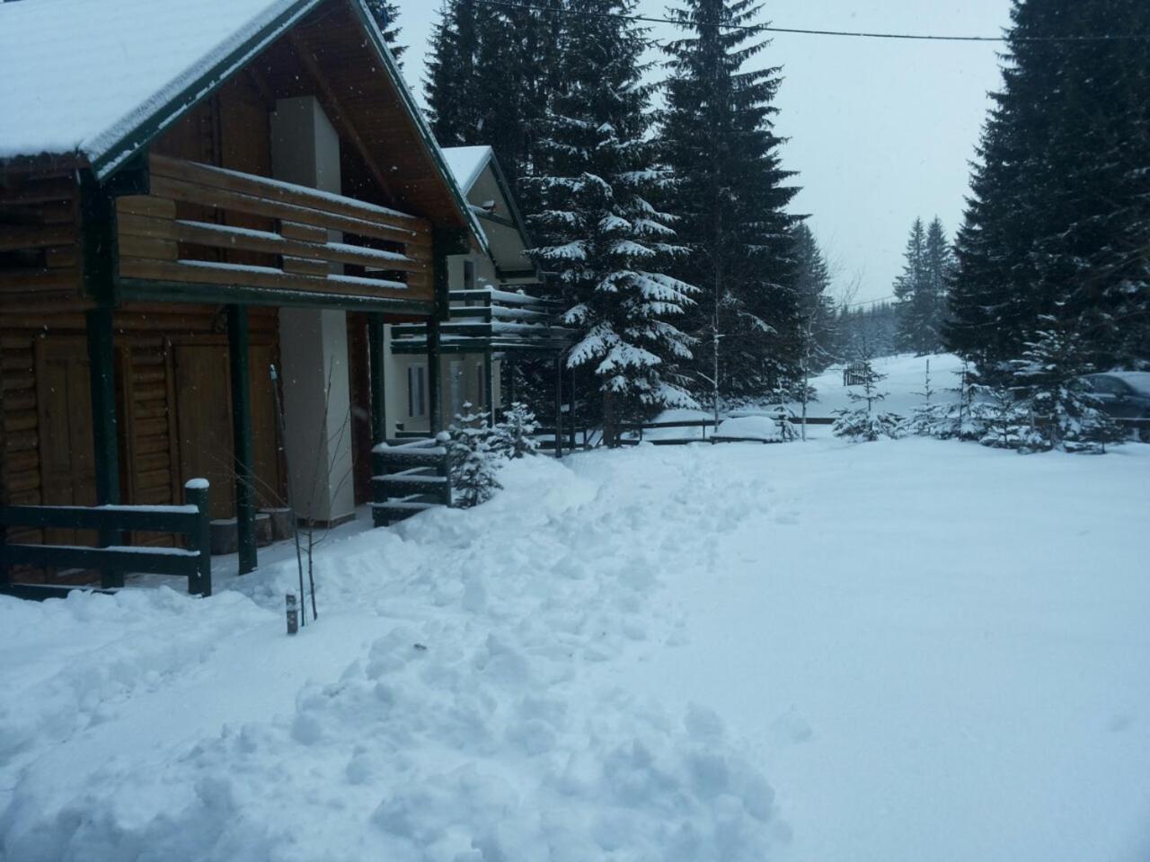 Holiday Home Stella Star Žabljak Kültér fotó